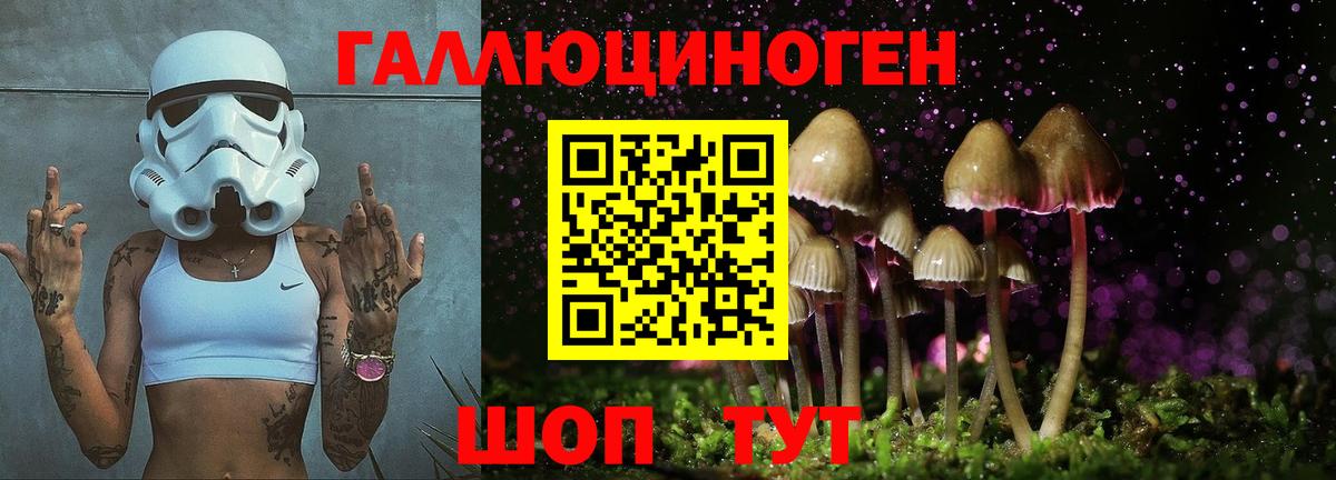 Петрозаводск  Псилоцибиновые грибы мухоморы  Вход с VPN  Галлюциногенные грибы Cubensis 