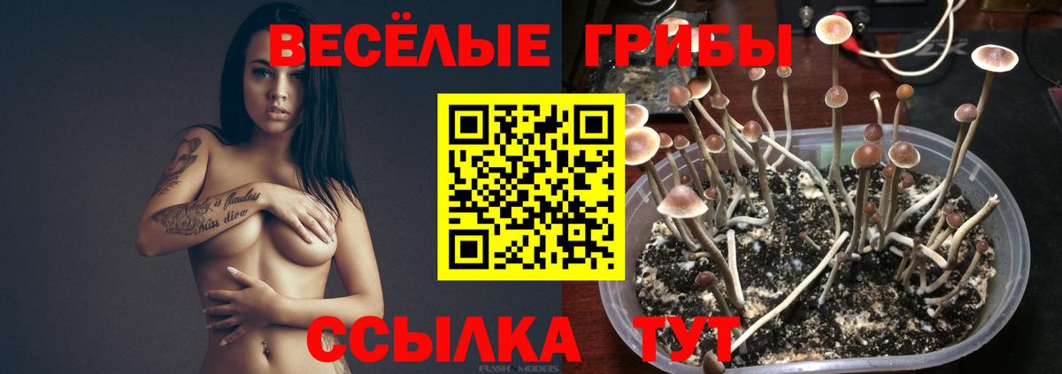 Псилоцибиновые грибы мухоморы Петрозаводск